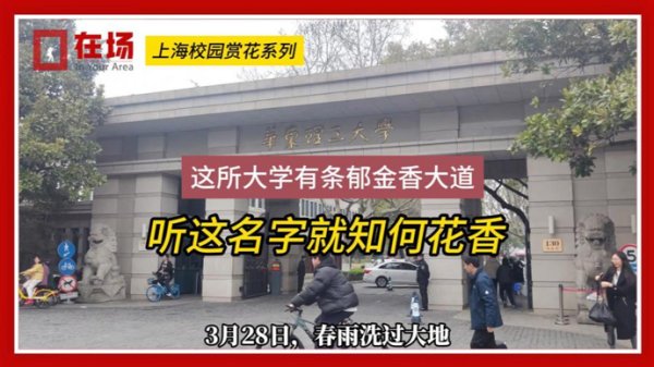线上配资全国招商 上海校园赏花系列 | 三条轨交直达 这里能感受郁金香的夹道欢迎